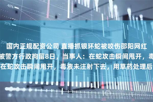 国内正规配资公司 直播抓银环蛇被咬伤邵阳网红，因未及时澄清事实，被警方行政拘留8日，当事人：在蛇攻击瞬间甩开，毒液未注射下去，用草药处理后脱险