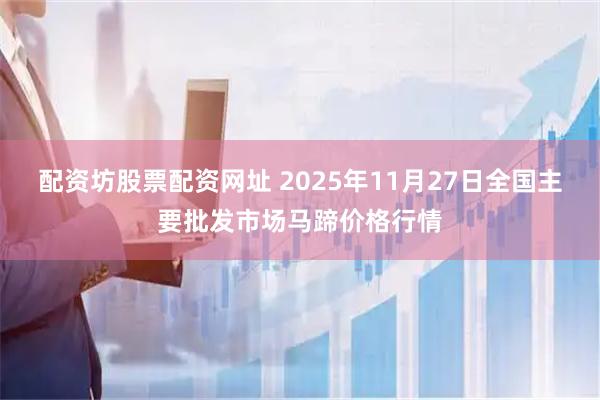 配资坊股票配资网址 2025年11月27日全国主要批发市场马蹄价格行情